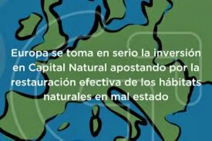 Dibujo sobre la Ley de Restauración natural en España