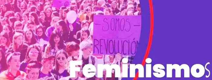Cartel mujeres y pancarta somos revolución