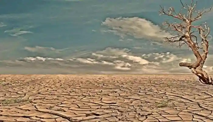 Sequía: crónica de un desastre anunciado